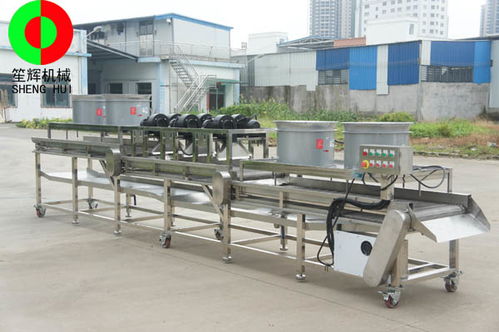 博樂砂糖橘速凍生產(chǎn)線與草石蠶生產(chǎn)線性價(jià)比及紙板復(fù)合生產(chǎn)線選購指南